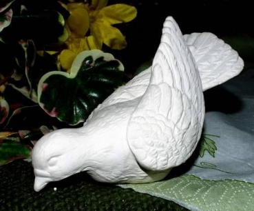 Taube - fressend – Schrühware