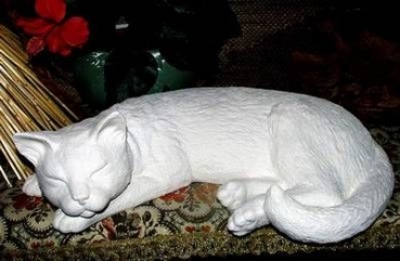 Große schlafende Katze – Schrühware