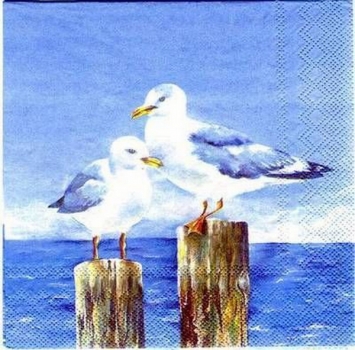 s0540 - Seagulls - Serviette 33 x 33 cm - Restbestand - Stückpreis