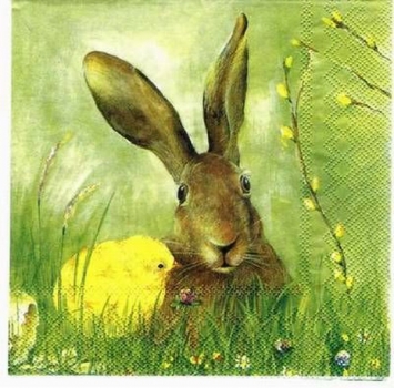 s0663 - Osterhase - grün - Napkins - Package - 20 pcs.