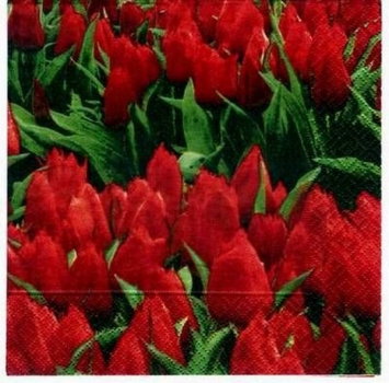 s1533 - Tulpenfeld - red  - Napkins - Package - 20 pcs.