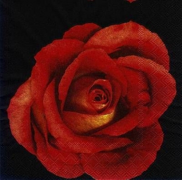 s1647 - Red Rose - black - Servietten - Packung - 20 Stück