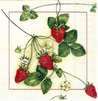s1706 – Erdbeeren – Servietten – Packung – 20 Stück