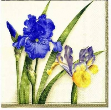 s1708 – Blumen – Servietten – Packung – 20 Stück
