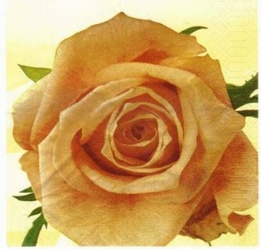 s1835 - Rose - peach - Servietten - Packung - 20 Stück