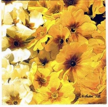 s1893 - Spring Blossom - Servietten - Packung - 20 Stück