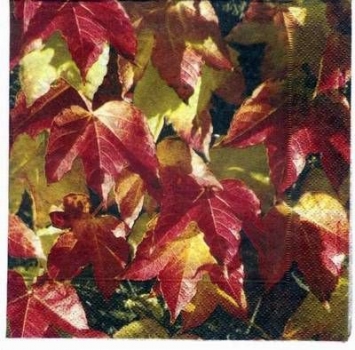 s2048 - red leaves - Servietten - Packung - 20 Stück