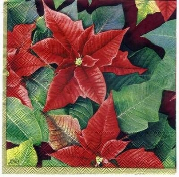 s2129 - Joy and Glory - red - Servietten - Packung - 20 Stück