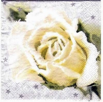 s2185 – weiße Rose – Servietten – Packung – 20 Stück
