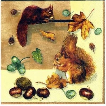 s2194 – Eichhörnchen – Squirrels – Servietten – Packung – 20 Stück