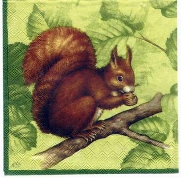 s2211 - Squirrel - green - Servietten - Packung - 20 Stück