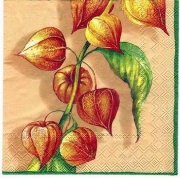 s2246 - lampiona - apricot - Servietten - Packung - 20 Stück