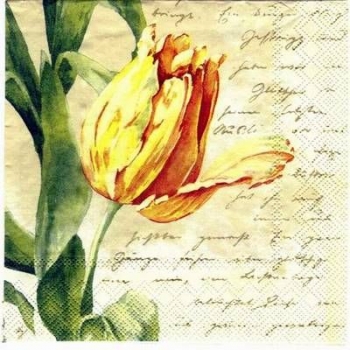 s2315 – Tulpe – Servietten – Packung – 20 Stück