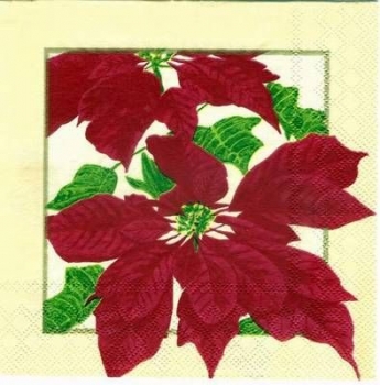 s2322 - Weihnachtsstern - Servietten - Packung - 20 Stück