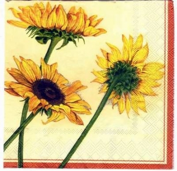 s2335 - Sun Shine - orange - Servietten - Packung - 20 Stück