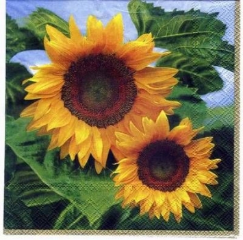 s2401 - Helianthus - Servietten - Packung - 20 Stück