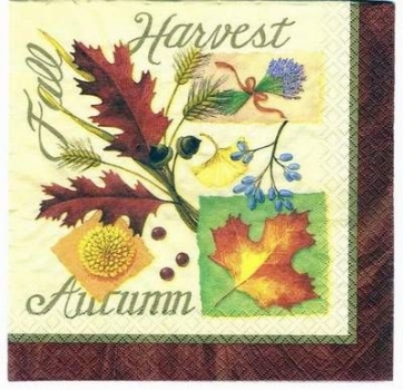 s2435 - Harvest Home - Servietten - Packung - 16 Stück - USA - RARITÄT