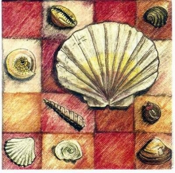 s2602 - Seashells - Servietten - Packung - 20 Stück