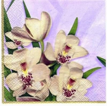 s2607 - wild orchid - Servietten - Packung - 20 Stück