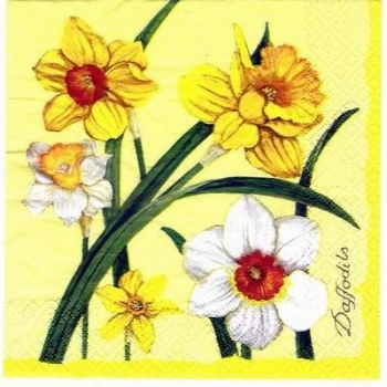 s2648 - Daffodils gelb - Servietten - Packung - 20 Stück