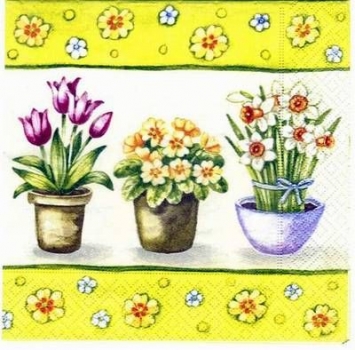 s2702 – Blumen – Servietten – Packung – 20 Stück