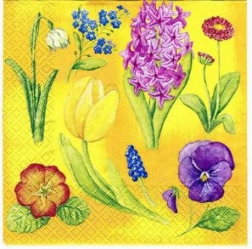 s2817 - La Primavera - gelb - Servietten - Packung - 20 Stück