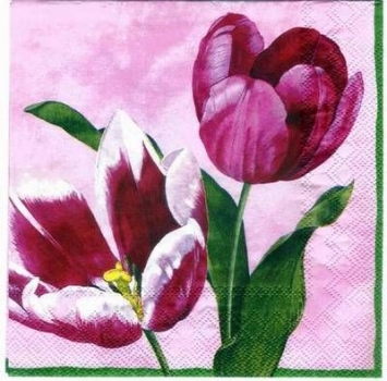 s2862 - Tulip Time - rose pink - Servietten - Packung - 20 Stück.