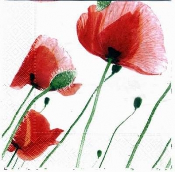 s2912 - Klatschmohn - Servietten - Packung - 20 Stück