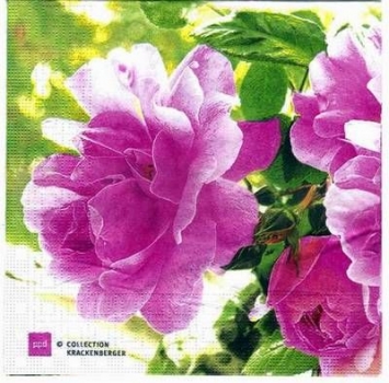 s2926 – Blumen – Servietten – Packung – 20 Stück