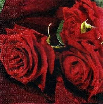 s2935 - Rosen - rot - Servietten - Packung - 20 Stück