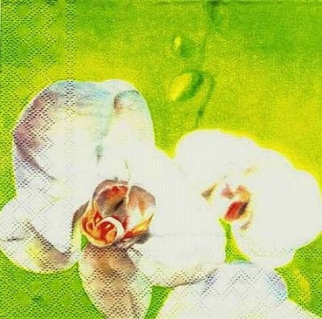 s2938 - Orchidee - Servietten - Packung - 20 Stück