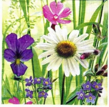 s2942 - Sunny Field - Servietten - Packung - 20 Stück