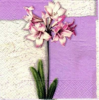s2995 - Romantic - Servietten - Packung - 20 Stück