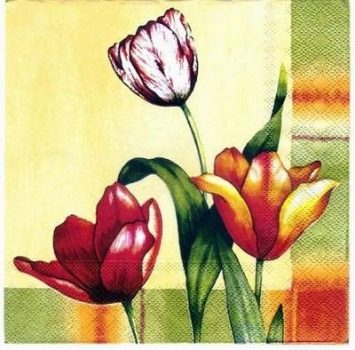 s3032 – Tulpen – Servietten – Packung – 20 Stück
