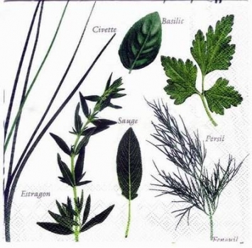 s3060 - Gartenkräuter - Servietten - Packung - 20 Stück