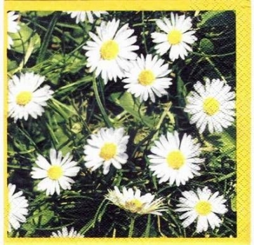 s3091 - Oxeye Daisy - Servietten - Packung - 20 Stück