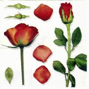 s3092 - Scent 0f Roses - Servietten - Packung - 20 Stück