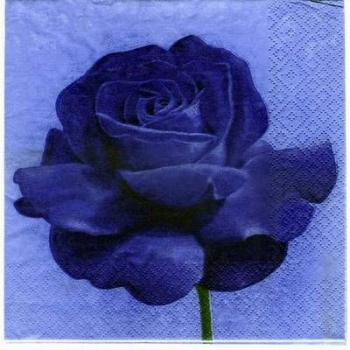 s3123 - Velvet Rose - blue - Servietten - Packung - 20 Stück