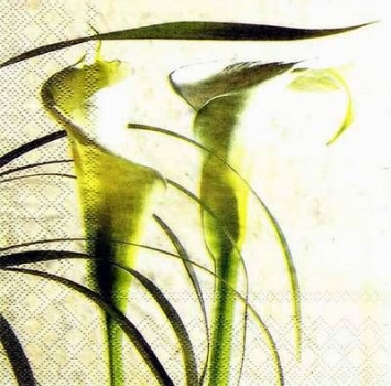 s3136 - Calla - Servietten - Packung - 20 Stück