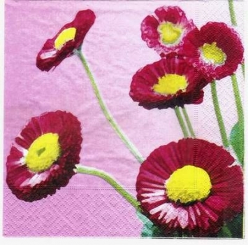 s3282 - Bunch of Bellis - Servietten - Packung - 20 Stück