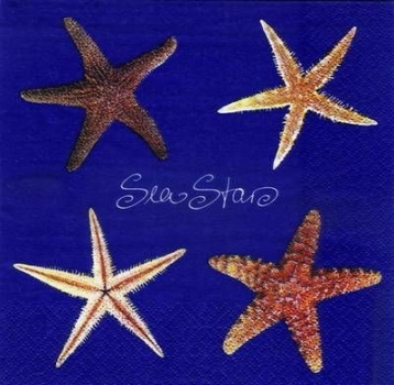 s3283 - Sea Stars - dark blue - Servietten - Packung - 20 Stück