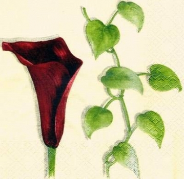 s3524 - Red Calla - Servietten - Packung - 20 Stück