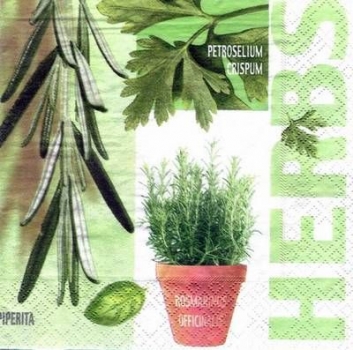s3533 - Herbs - Servietten - Packung - 20 Stück