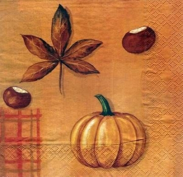 s3559 - Herbstelemente - Servietten - Packung - 20 Stück