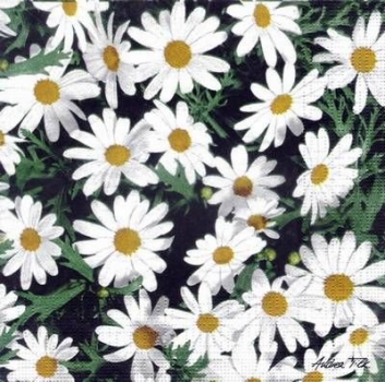 s3586 - Daisy Field - Servietten - Packung - 20 Stück