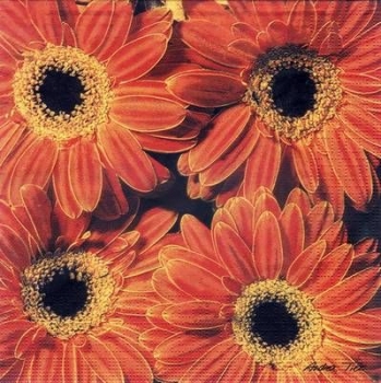 s3587 - Mixed Flowers - Servietten - Packung - 20 Stück