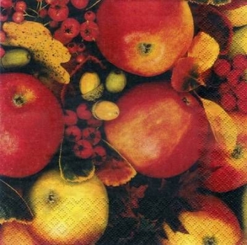 s3667 - Autumn Fruits - Servietten - Packung - 20 Stück