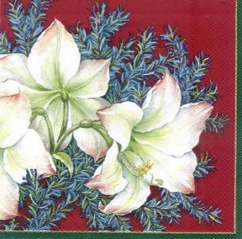 s3748 - Candy Cane Amaryllis - red - Servietten - Packung - 20 Stück