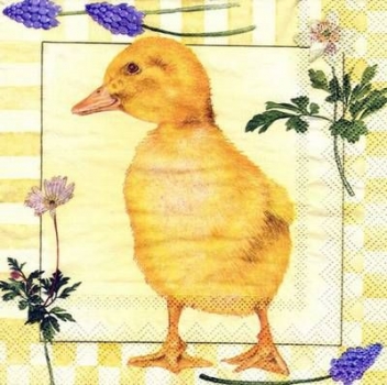 s4112 - Anatra - yellow - Servietten - Packung - 20 Stück