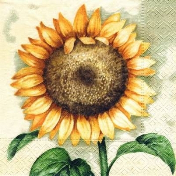 s4136 - Sunny - Servietten - Packung - 20 Stück
